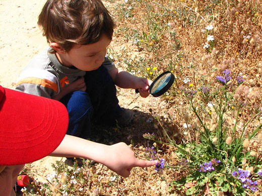 הילדים חוקרים את הפרחים